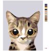 Malowanie po numerach - Słodki pręgowany kotek