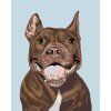 Malowanie po numerach - Pitbull (Wariant płótno bez ramy, Rozmiar 40x50 cm)