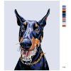 Malowanie po numerach - Doberman (Wariant płótno bez ramy, Rozmiar 40x50 cm)