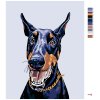 Malowanie po numerach - Doberman