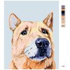 Malowanie po numerach - Smutny pies