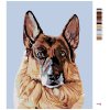 Malowanie po numerach - Majestatyczny owczarek niemiecki