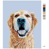 Malowanie po numerach - Golden Retriever