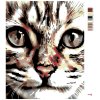 Malowanie po numerach - Pręgowany kotek