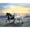 Malowanie po numerach - Konie na plaży