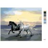 Malowanie po numerach - Konie na plaży