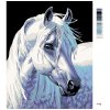 Malowanie po numerach - Biały koń