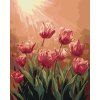 Malowanie po numerach - TULIPANY (Wariant płótno bez ramy, Rozmiar 80x100 cm)