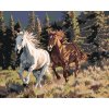 Malowanie po numerach - KONIE BIEGAJĄCE W GÓRACH