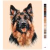 Malowanie po numerach - OWCZAREK NIEMIECKI