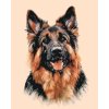 Malowanie po numerach - OWCZAREK NIEMIECKI