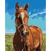 Malowanie po numerach - GNIADY KOŃ Z UZDĄ