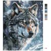 Malowanie po numerach - PORTRET WILKA
