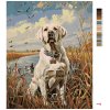 Malowanie po numerach - ZŁOTY LABRADOR W TRZCINACH NAD STAWEM I KACZKI