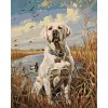 Malowanie po numerach - ZŁOTY LABRADOR W TRZCINACH NAD STAWEM I KACZKI