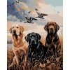 Malowanie po numerach - ZŁOTY, BRĄZOWY I CZARNY LABRADOR NAD STAWEM