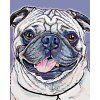 Malowanie po numerach - Mops (Wariant płótno bez ramy, Rozmiar 40x50 cm)