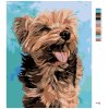 Malowanie po numerach - Wesoły Yorkshire terrier