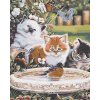 Malowanie po numerach - Kociaki i ptaki