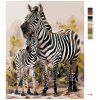 Malowanie po numerach - Zebra z młodym