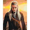 Malowanie po numerach - Legolas (Wariant płótno bez ramy, Rozmiar 40x50 cm)