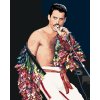 Malowanie po numerach - Freddie Mercury