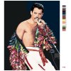 Malowanie po numerach - Freddie Mercury