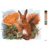 Malowanie po numerach - Wiewiórka