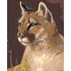 Malowanie po numerach - Puma (Wariant płótno bez ramy, Rozmiar 40x50 cm)