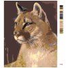 Malowanie po numerach - Puma (Wariant płótno bez ramy, Rozmiar 40x50 cm)