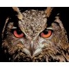 Malowanie po numerach - Sowa – puchacz