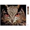 Malowanie po numerach - Sowa – puchacz