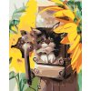 Malowanie po numerach - Kotek w pudełku i słonecznik