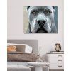 Malowanie po numerach - Cane Corso (Wariant płótno bez ramy, Rozmiar 40x50 cm)
