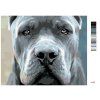 Malowanie po numerach - Cane Corso (Wariant płótno bez ramy, Rozmiar 40x50 cm)