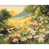 Malowanie po numerach - Letnia łąka