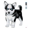 Malowanie po numerach - Niebieskooki husky
