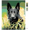 Malowanie po numerach - Owczarek niemiecki w trawie