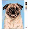 Malowanie po numerach - Brązowy mops (Wariant płótno bez ramy, Rozmiar 40x50 cm)
