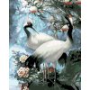 Malowanie po numerach - Białe czaple
