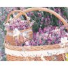Malowanie po numerach - Lawendowy koszyk
