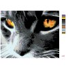 Malowanie po numerach - Przestraszone koty