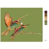 Malowanie po numerach - Dwa kolibry