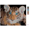 Malowanie po numerach - Niebieskooki tygrys