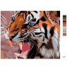 Malowanie po numerach - Malowanie po numerach -Niebieskooki tygrys