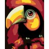 Malowanie po numerach - Kolorowy tukan