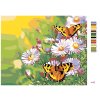 Malowanie po numerach - Motyle na stokrotkach