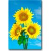 Malowanie po numerach – Piękne słoneczniki