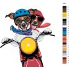 Malowanie po numerach - Jack Russell na motocyklu