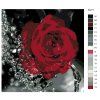 Malowanie po numerach – Róża i krople wody